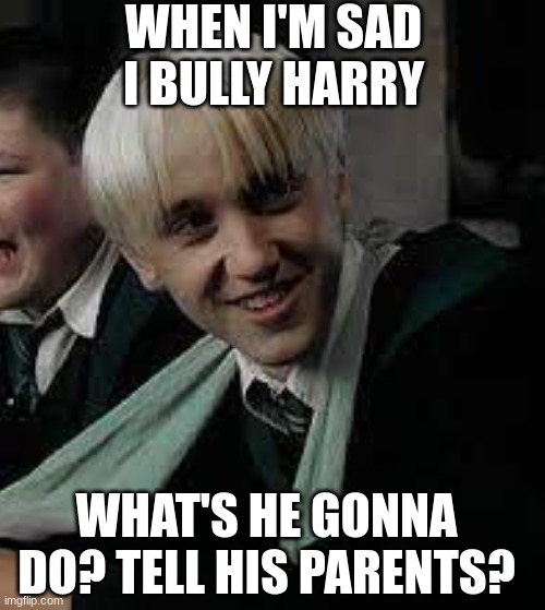 WHEN I'M SAD I BULLY HARRY; WHAT'S HE GONNA DO? TELL HIS PARENTS? | made w/ Imgflip meme maker