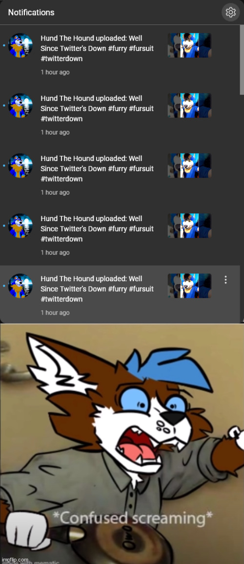 what even happened here? all the other notifications are just fine. | image tagged in confused furry screaming | made w/ Imgflip meme maker