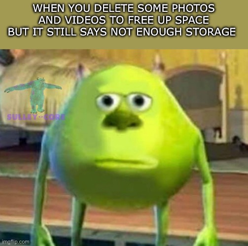 Wdym | WHEN YOU DELETE SOME PHOTOS AND VIDEOS TO FREE UP SPACE BUT IT STILL SAYS NOT ENOUGH STORAGE | image tagged in monsters inc,memes,funny,so true memes,true story | made w/ Imgflip meme maker