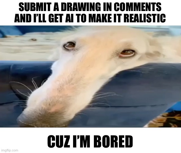 Oc 2d Cartoon anything | SUBMIT A DRAWING IN COMMENTS AND I’LL GET AI TO MAKE IT REALISTIC; CUZ I’M BORED | image tagged in borzoi dog | made w/ Imgflip meme maker