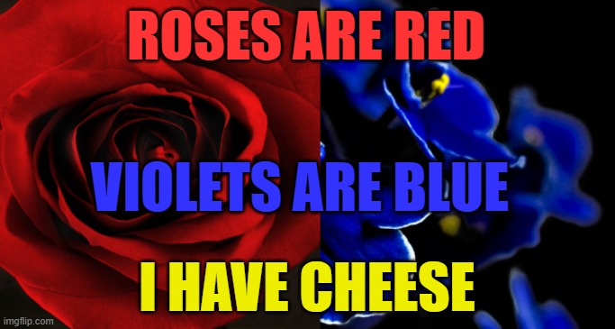 i dunno what to put here | ROSES ARE RED; VIOLETS ARE BLUE; I HAVE CHEESE | image tagged in roses are red violets are blue | made w/ Imgflip meme maker
