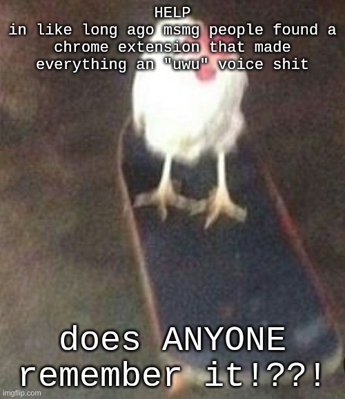 Dog on skateboard | HELP
in like long ago msmg people found a chrome extension that made everything an "uwu" voice shit; does ANYONE remember it!??! | image tagged in dog on skateboard | made w/ Imgflip meme maker