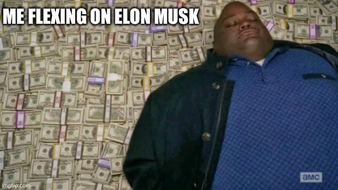 huell money | ME FLEXING ON ELON MUSK | image tagged in huell money | made w/ Imgflip meme maker