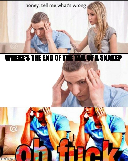 Where is it? | WHERE'S THE END OF THE TAIL OF A SNAKE? | image tagged in oh f ck | made w/ Imgflip meme maker