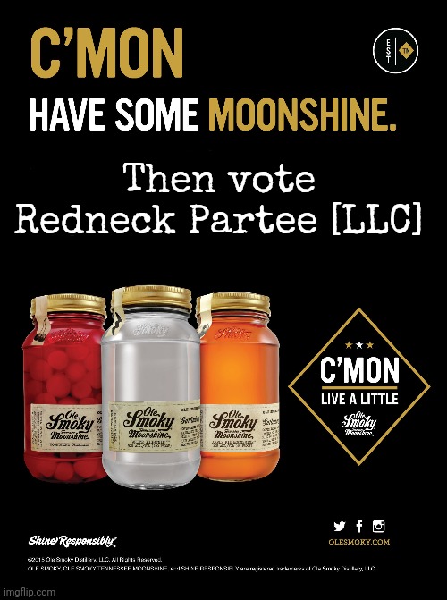 Vote redneck partee | Then vote Redneck Partee [LLC] | image tagged in vote,redneck,party,dew it | made w/ Imgflip meme maker