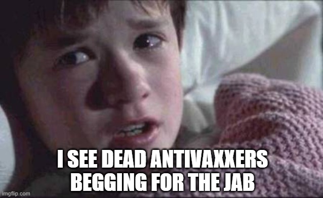 take no prisoners | I SEE DEAD ANTIVAXXERS BEGGING FOR THE JAB | image tagged in i see dead people,antivaxxers,vaccines,covid19,movies,films | made w/ Imgflip meme maker