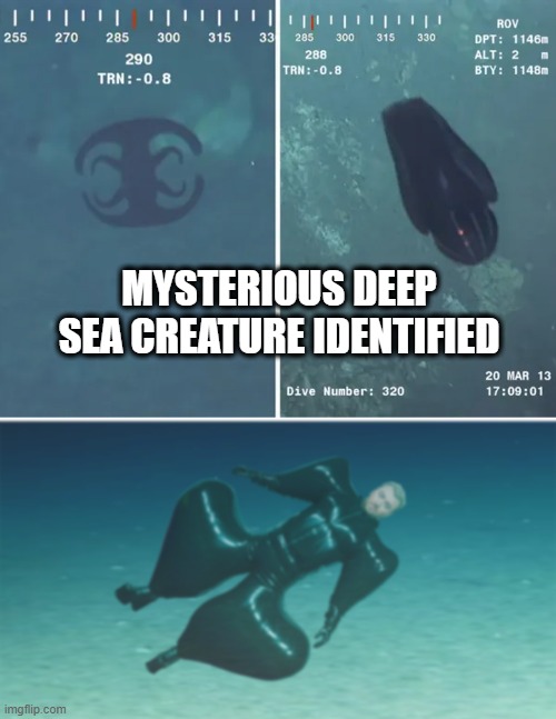 Mysterious Deep Sea Creature Identified | MYSTERIOUS DEEP SEA CREATURE IDENTIFIED | image tagged in mysterious,deep,sea,creature,weird,sam smith | made w/ Imgflip meme maker