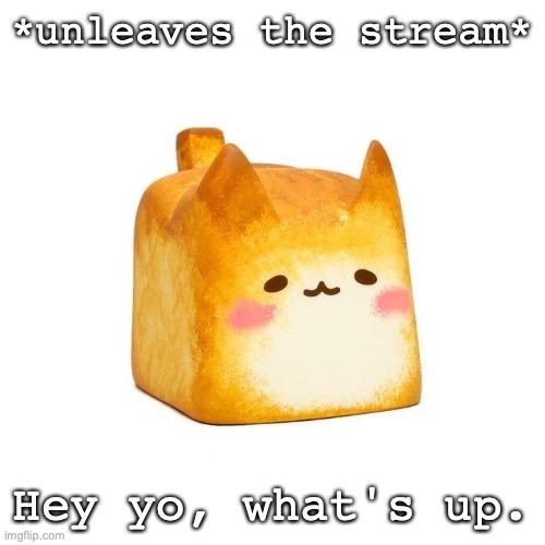 b r e a d | *unleaves the stream*; Hey yo, what's up. | image tagged in catbread | made w/ Imgflip meme maker