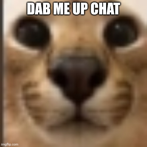 Whar | DAB ME UP CHAT | image tagged in whar | made w/ Imgflip meme maker