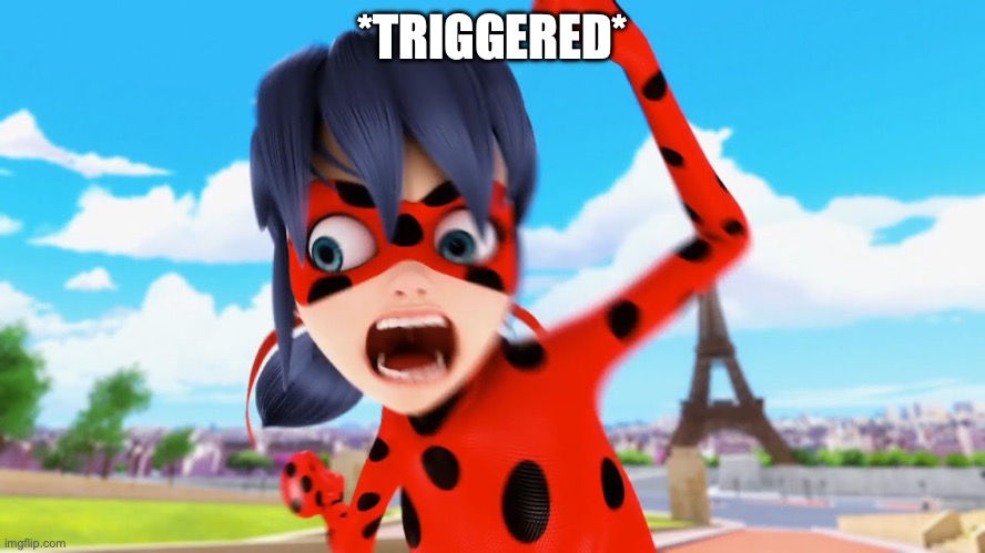 Miraculous ladybug | *TRIGGERED* | image tagged in miraculous ladybug | made w/ Imgflip meme maker