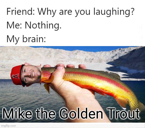 Hahahaha Mike The Golden Trout | Mike the Golden Trout | image tagged in memes,why are you laughing,mlb baseball,angels,funny because it's true | made w/ Imgflip meme maker