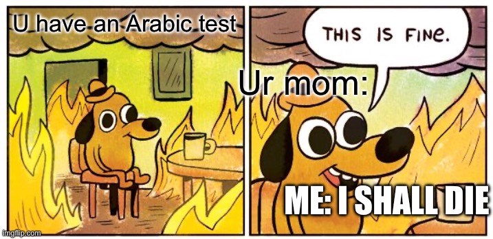 This Is Fine | U have an Arabic test; Ur mom:; ME: I SHALL DIE | image tagged in memes,this is fine | made w/ Imgflip meme maker