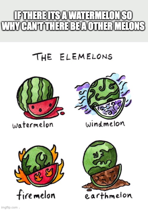dude this will be great | IF THERE ITS A WATERMELON SO WHY CAN'T THERE BE A OTHER MELONS | image tagged in watermelons,elemelons,lol,funny,memes | made w/ Imgflip meme maker