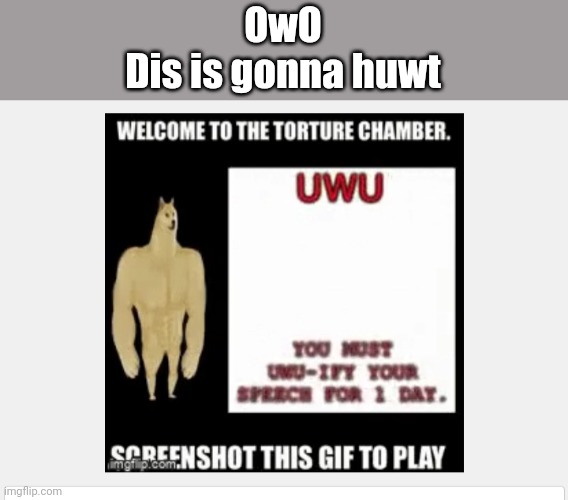 OwO
Dis is gonna huwt | made w/ Imgflip meme maker