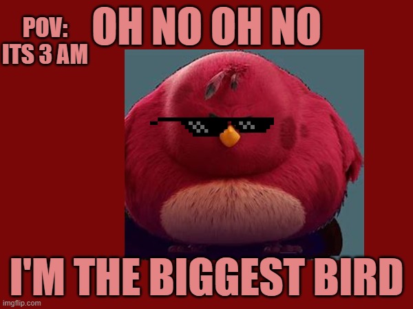 da biggest bird | POV: ITS 3 AM; OH NO OH NO; I'M THE BIGGEST BIRD | image tagged in funny memes | made w/ Imgflip meme maker