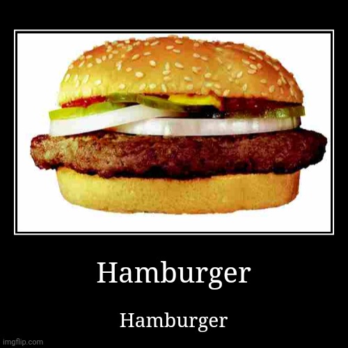 Hamburger | image tagged in funny,demotivationals,hamburger | made w/ Imgflip demotivational maker