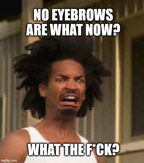 Disgusted Face | WHAT THE F*CK? NO EYEBROWS ARE WHAT NOW? | image tagged in disgusted face | made w/ Imgflip meme maker