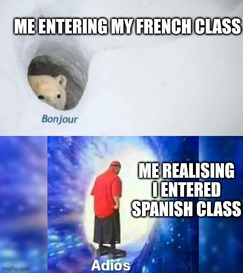 bonjur adios | ME ENTERING MY FRENCH CLASS; ME REALISING I ENTERED SPANISH CLASS | image tagged in bonjur adios | made w/ Imgflip meme maker