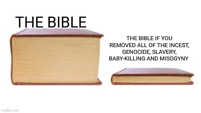 This is why Satan loves the bible | THE BIBLE IF YOU REMOVED ALL OF THE INCEST, GENOCIDE, SLAVERY, BABY-KILLING AND MISOGYNY; THE BIBLE | image tagged in big book small book,satan,god,jesus,the bible | made w/ Imgflip meme maker