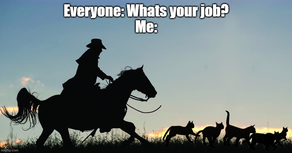 Professional cat herder | Everyone: Whats your job?
Me: | image tagged in work sucks,work,its a living | made w/ Imgflip meme maker