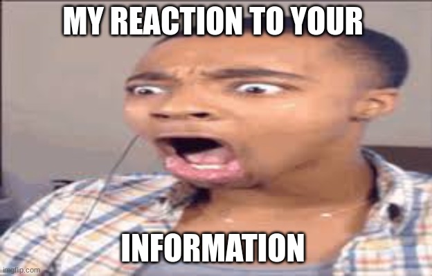 ahahahah | MY REACTION TO YOUR; INFORMATION | image tagged in funny | made w/ Imgflip meme maker