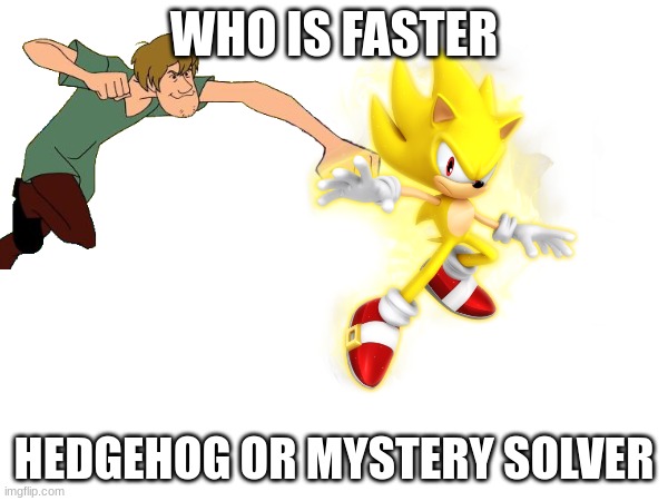 WHO IS FASTER; HEDGEHOG OR MYSTERY SOLVER | made w/ Imgflip meme maker