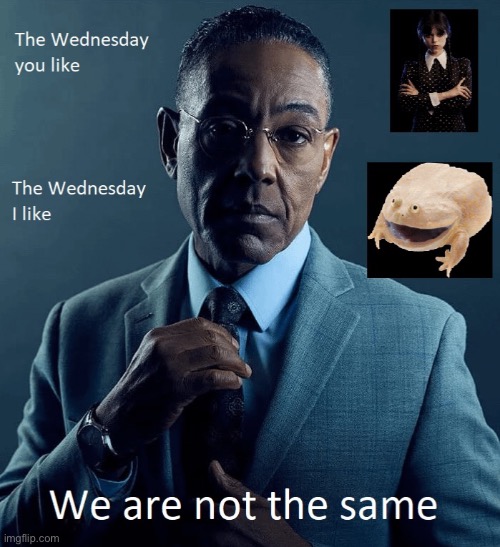 It’s wednesday bois | image tagged in wednesday,gus fring we are not the same,repost,we are not the same,memes,funny | made w/ Imgflip meme maker
