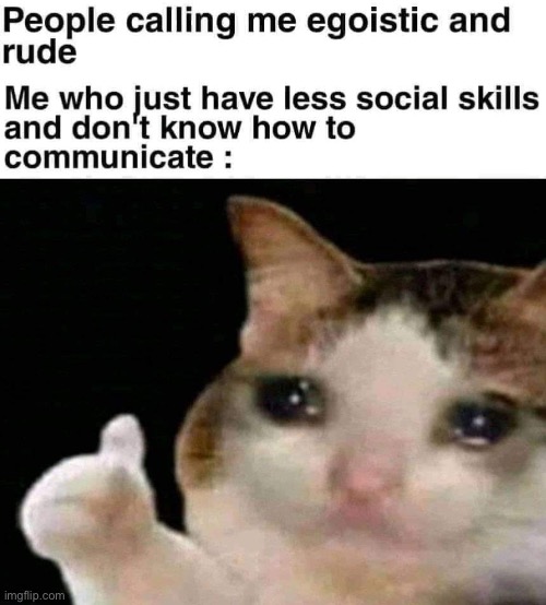 image tagged in repost,communication,rude,crying cat,memes,funny | made w/ Imgflip meme maker