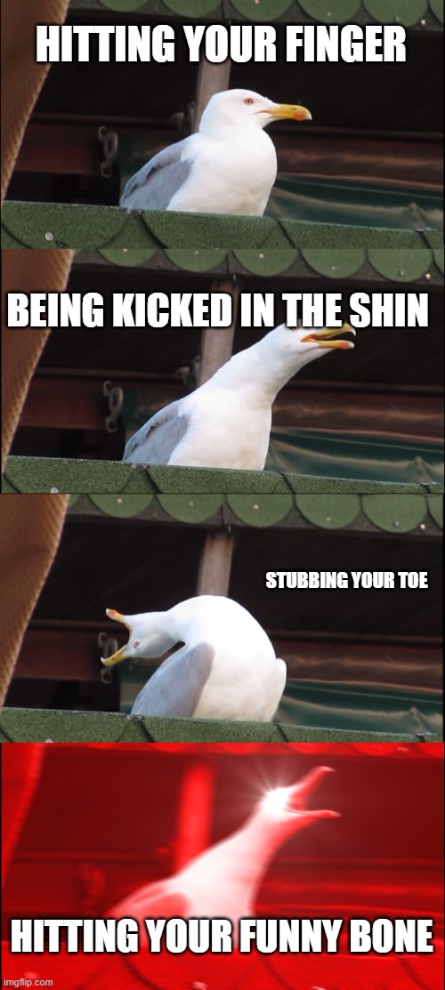 true pain | HITTING YOUR FINGER; BEING KICKED IN THE SHIN; STUBBING YOUR TOE; HITTING YOUR FUNNY BONE | image tagged in memes,inhaling seagull | made w/ Imgflip meme maker