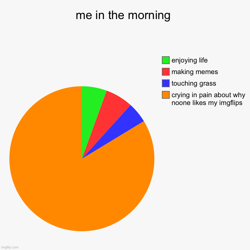 it’s real | me in the morning | crying in pain about why noone likes my imgflips, touching grass, making memes, enjoying life | image tagged in charts,pie charts,morning | made w/ Imgflip chart maker