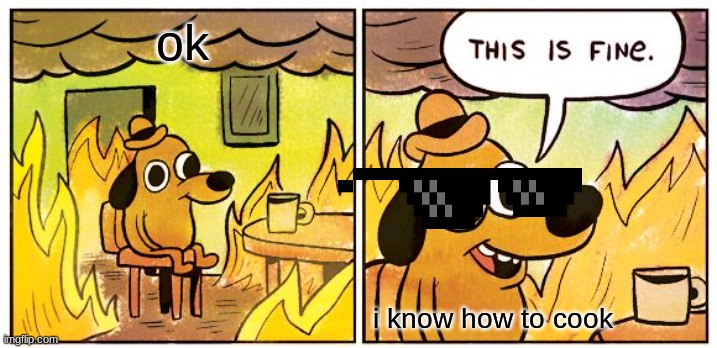 This Is Fine | ok; i know how to cook | image tagged in memes,this is fine | made w/ Imgflip meme maker