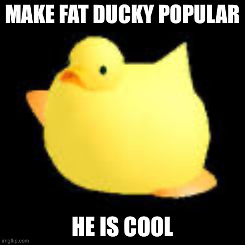 Fat ducky | MAKE FAT DUCKY POPULAR; HE IS COOL | image tagged in fat ducky | made w/ Imgflip meme maker
