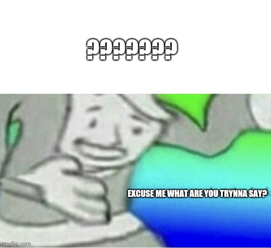 Excuse me wtf blank template | EXCUSE ME WHAT ARE YOU TRYNNA SAY? ??????? | image tagged in excuse me wtf blank template | made w/ Imgflip meme maker