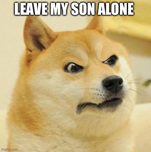 Confused Angery Doge | LEAVE MY SON ALONE | image tagged in confused angery doge | made w/ Imgflip meme maker