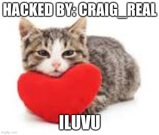 i logged into your chrome boook account heeehe | HACKED BY: CRAIG_REAL; ILUVU | image tagged in hehe,love | made w/ Imgflip meme maker