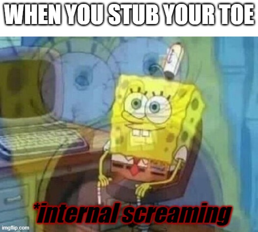 i bet you hate this to | WHEN YOU STUB YOUR TOE; *internal screaming | image tagged in internal screaming | made w/ Imgflip meme maker