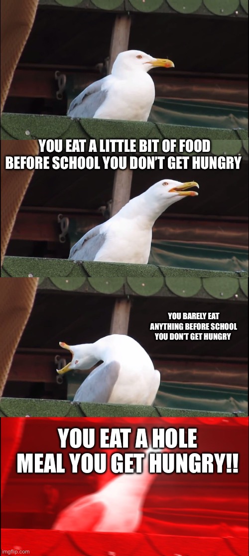 Inhaling Seagull Meme | YOU EAT A LITTLE BIT OF FOOD BEFORE SCHOOL YOU DON’T GET HUNGRY; YOU BARELY EAT ANYTHING BEFORE SCHOOL YOU DON’T GET HUNGRY; YOU EAT A HOLE MEAL YOU GET HUNGRY!! | image tagged in memes,inhaling seagull | made w/ Imgflip meme maker