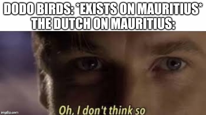 Oh, I don't think so | DODO BIRDS: *EXISTS ON MAURITIUS*
THE DUTCH ON MAURITIUS: | image tagged in oh i don't think so | made w/ Imgflip meme maker