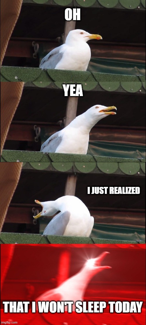 Inhaling Seagull | OH; YEA; I JUST REALIZED; THAT I WON'T SLEEP TODAY | image tagged in memes,inhaling seagull | made w/ Imgflip meme maker