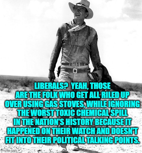 Truth is truth. | LIBERALS?  YEAH, THOSE ARE THE FOLK WHO GET ALL RILED UP OVER USING GAS STOVES, WHILE IGNORING THE WORST TOXIC CHEMICAL SPILL IN THE NATION'S HISTORY BECAUSE IT HAPPENED ON THEIR WATCH AND DOESN'T FIT INTO THEIR POLITICAL TALKING POINTS. | image tagged in truth | made w/ Imgflip meme maker