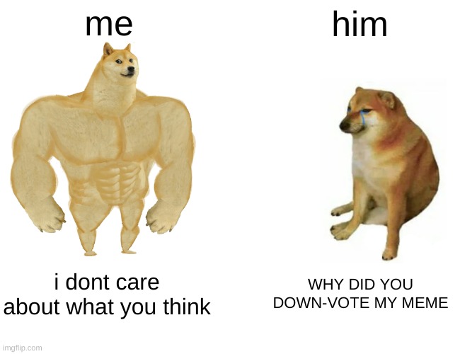 Buff Doge vs. Cheems Meme | me him i dont care about what you think WHY DID YOU DOWN-VOTE MY MEME | image tagged in memes,buff doge vs cheems | made w/ Imgflip meme maker