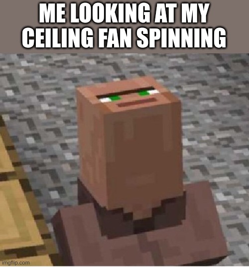 .... | ME LOOKING AT MY CEILING FAN SPINNING | image tagged in minecraft villager looking up | made w/ Imgflip meme maker