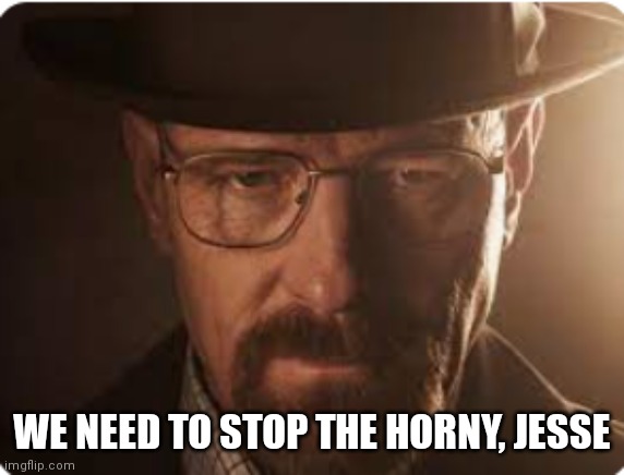 waltuh white | WE NEED TO STOP THE HORNY, JESSE | image tagged in waltuh white | made w/ Imgflip meme maker