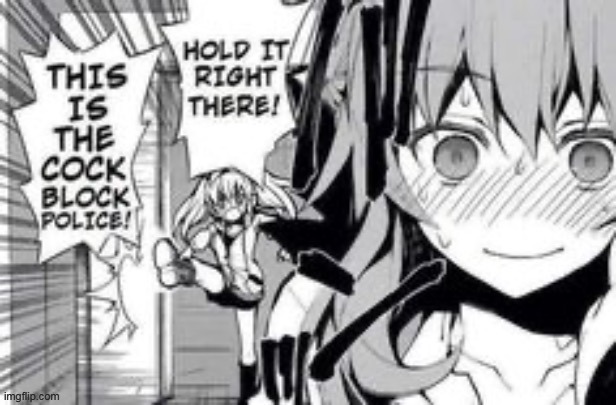 this is the cock block police | image tagged in this is the cock block police | made w/ Imgflip meme maker