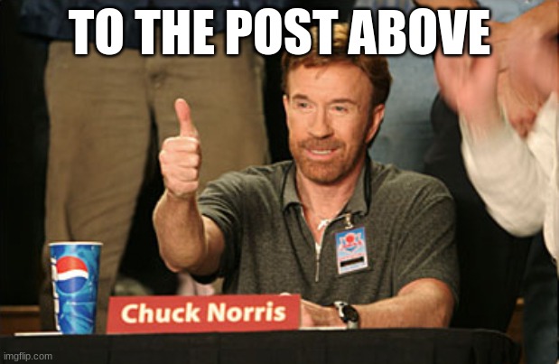 Chuck Norris Approves | TO THE POST ABOVE | image tagged in memes,chuck norris approves,chuck norris | made w/ Imgflip meme maker