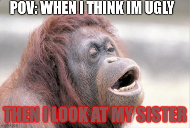 Monkey OOH Meme | POV: WHEN I THINK IM UGLY; THEN I LOOK AT MY SISTER | image tagged in memes,monkey ooh | made w/ Imgflip meme maker