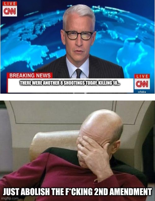 Captain Picard Facepalm Meme | THERE WERE ANOTHER 8 SHOOTINGS TODAY, KILLING 18... JUST ABOLISH THE F*CKING 2ND AMENDMENT | image tagged in memes,captain picard facepalm | made w/ Imgflip meme maker