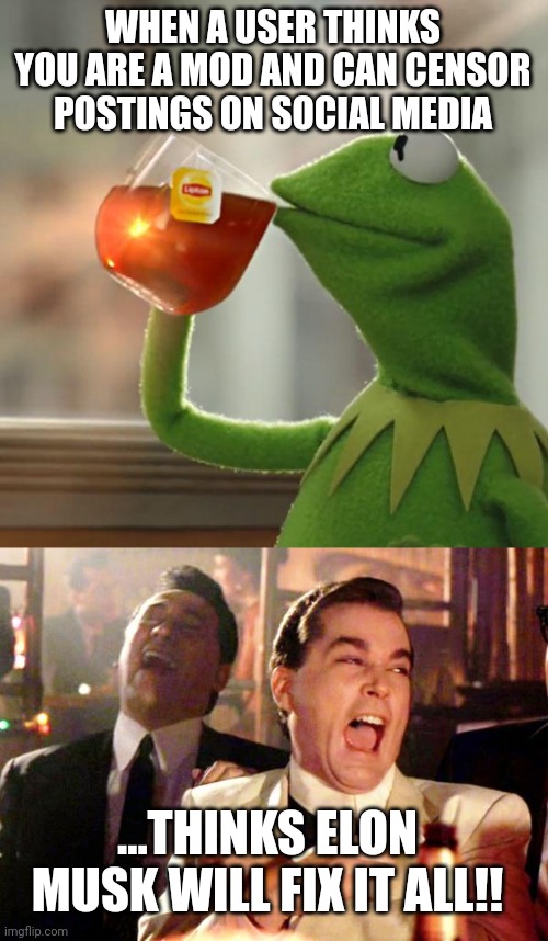 No speech is protected on the internet.  Facebook is not the corner of 1st of Main.  Neither is twitter or imgflip.  Go stand on | WHEN A USER THINKS YOU ARE A MOD AND CAN CENSOR POSTINGS ON SOCIAL MEDIA; ...THINKS ELON MUSK WILL FIX IT ALL!! | image tagged in memes,but that's none of my business,goodfellas laugh | made w/ Imgflip meme maker
