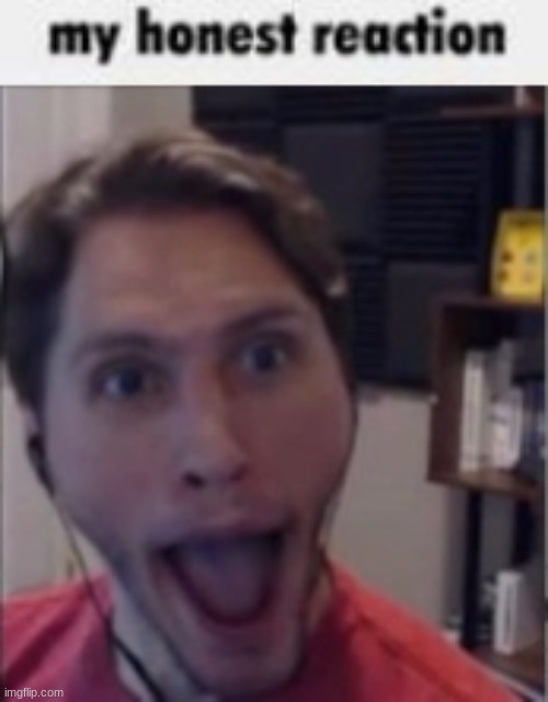 image tagged in my honest reaction | made w/ Imgflip meme maker