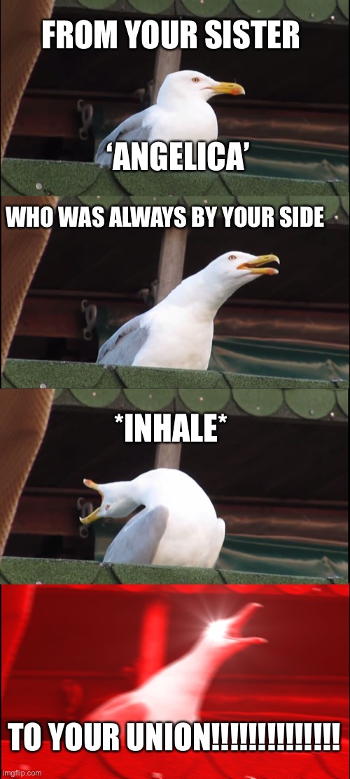 Satisfied -Hamilton | FROM YOUR SISTER; ‘ANGELICA’; WHO WAS ALWAYS BY YOUR SIDE; *INHALE*; TO YOUR UNION!!!!!!!!!!!!!! | image tagged in memes,inhaling seagull | made w/ Imgflip meme maker